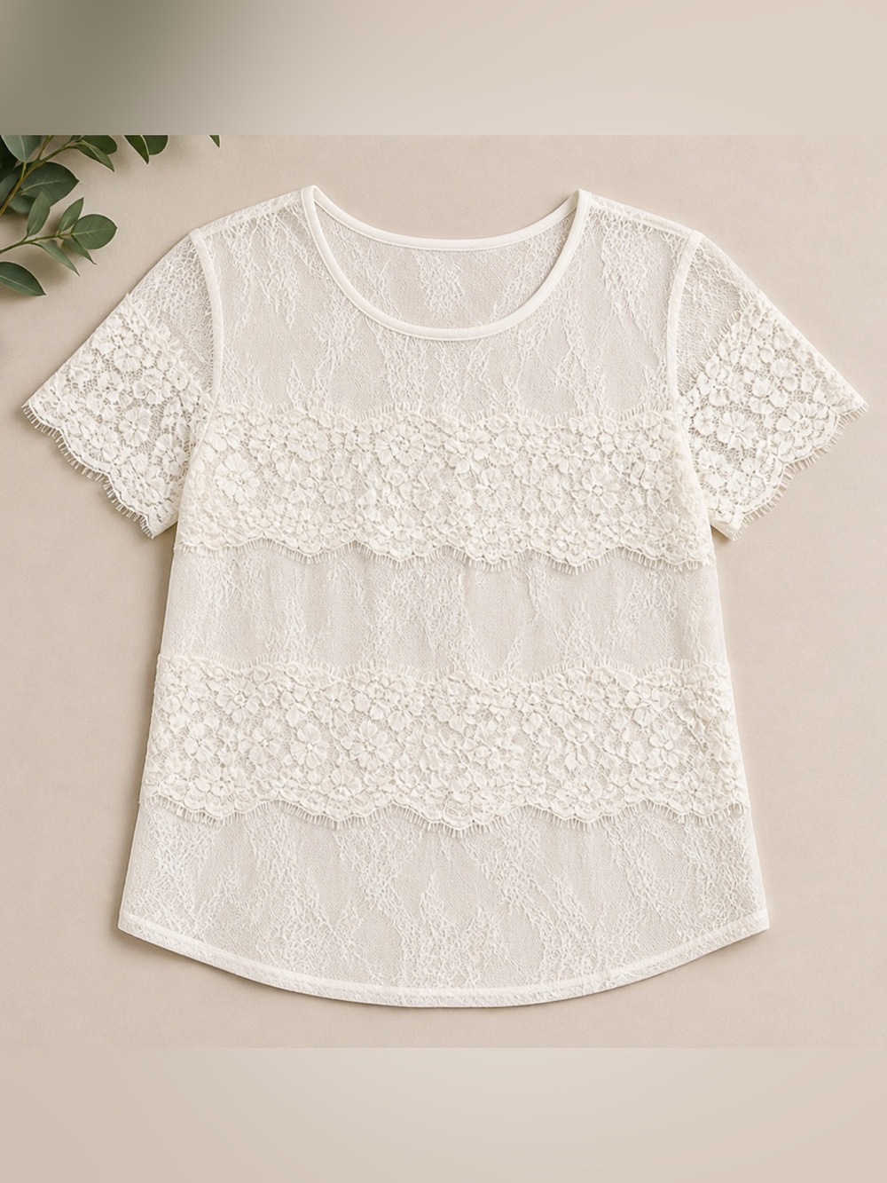Express White Lace Sheer Panel Top Feminine Minimal Chic